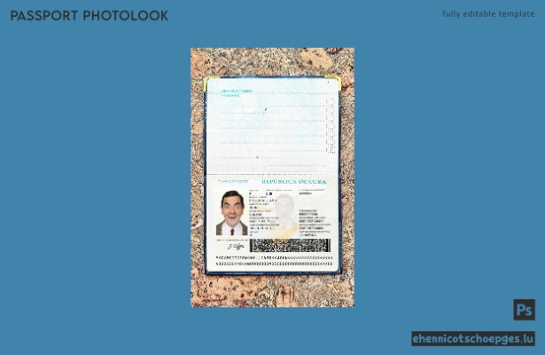 Beispielansicht für ein kubanisches Passfoto